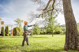  Normandy Park, WA Tree Removal Pros